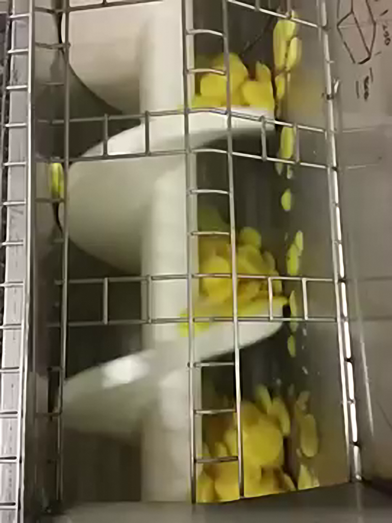 Archimedys™ in the transport of sliced potatoes